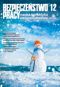 Personal security of policemen during the ID check Cover Image