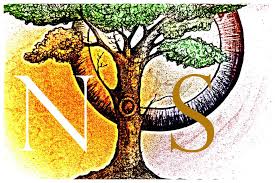 Psychosocial considerations for not deciding on maternity Cover Image