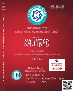 THE CONTRIBUTION OF THE “EDGE EFFECT” CAUSED BY THE INTERACTION OF DIFFERENCES TO ORGANIZATIONAL INNOVATION Cover Image