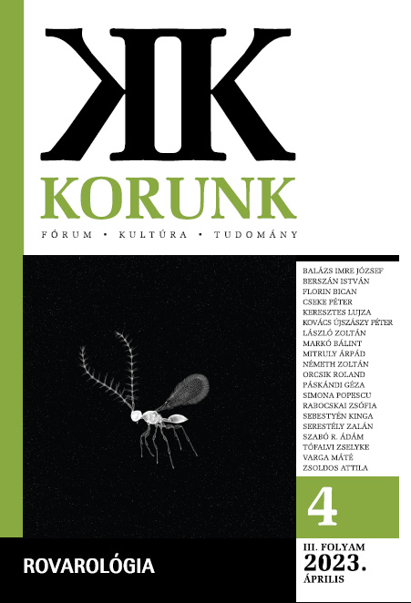Vajon emlékszik-e a pillangó arra, amit a hernyó tudott?